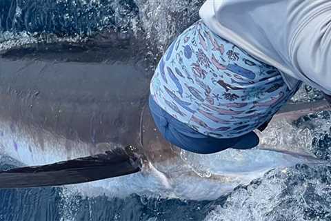 Striped Marlin Are Thick & Blue Marlin Action Continues!