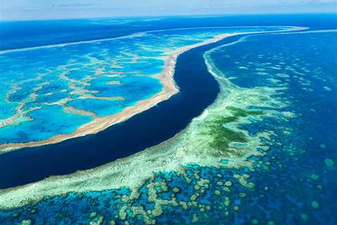 Great Barrier Reef Fishing: The Complete Guide