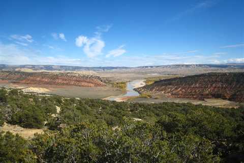 Story: Yampa Sweet Tea