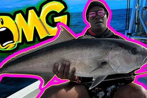 UNBELIEVABLE!! Epic BATTLE with Amberjack on the Fly Rod! | My Biggest Catch EVER!!!