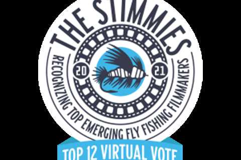 Fly Fusion Launches 5th Annual Stimmie Awards