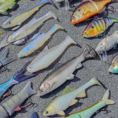 Swimbait Fishing – Full Seminar For Beginners And Advanced Anglers!