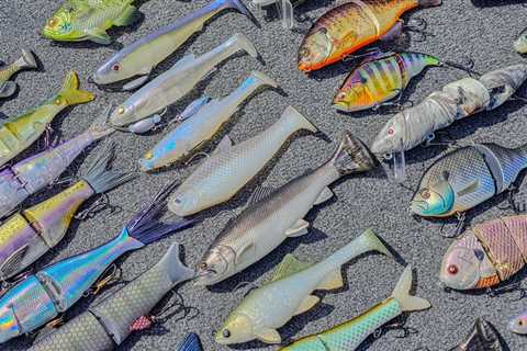 Swimbait Fishing – Full Seminar For Beginners And Advanced Anglers!