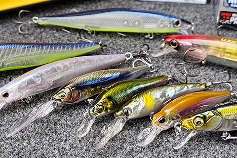 Fall Jerkbait Fishing! ( Beginner To Advanced – Full Seminar )