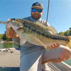 Where Do Bass Go In Fall? (And The Best Tricks To Catch Them)