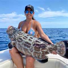 Grouper Season in Florida: The Complete Guide for 2024