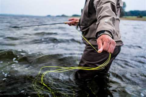 Fly Fishing Lines: A Beginner’s Guide for 2024