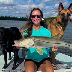 How to Go Fishing with a Dog: An Angler’s Guide for 2024