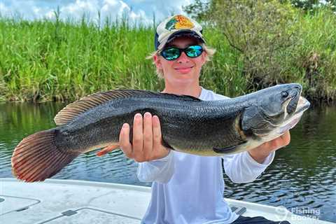 How to Go Bowfin Fishing: The Complete Guide