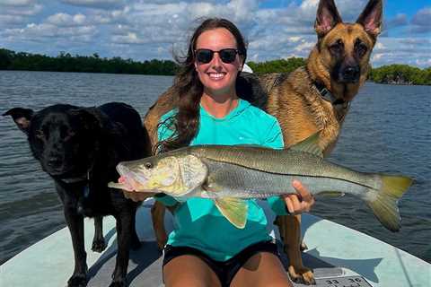 How to Go Fishing with a Dog: An Angler’s Guide for 2024