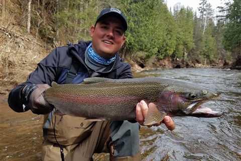 Minnesota Trout Seasons: The Complete Guide for 2024