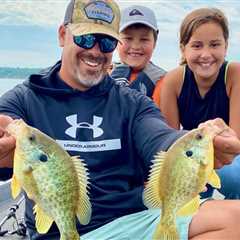Bluegill vs. Sunfish: Everything You Need to Know