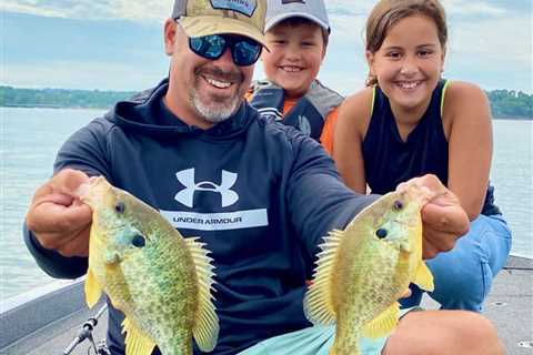 Bluegill vs. Sunfish: Everything You Need to Know