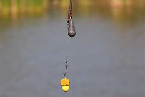 Fishing Leaders: An Angler’s Guide to What You Need to Know for 2025