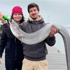 How to Go Eel Fishing: The Complete Guide