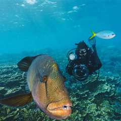 20 Fun Facts about Fish You Should Know