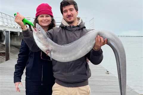 How to Go Eel Fishing: The Complete Guide