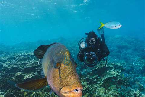 20 Fun Facts about Fish You Should Know