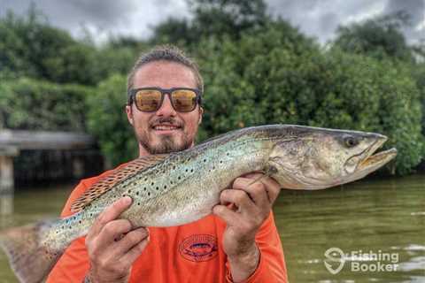 FWC Approved New Regional Regulations for Spotted Seatrout, Effective April 1, 2026