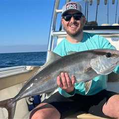 Federal Gulf Amberjack Season Expands to 43 Days in 2026