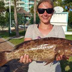 New Rules for Scamp and Yellowmouth Grouper in the South Atlantic for 2026
