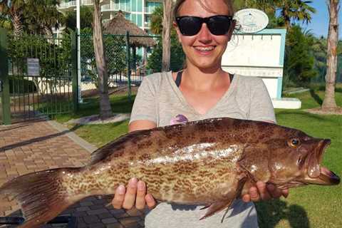 New Rules for Scamp and Yellowmouth Grouper in the South Atlantic for 2026