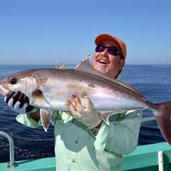 Reef Donkeys: Expert Tips for Catching Amberjack in the Gulf of America
