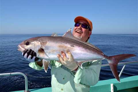 Reef Donkeys: Expert Tips for Catching Amberjack in the Gulf of America