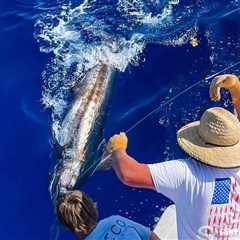 Big Rock Blue Marlin Tournament 2026: Tournament Dates, Fees, Prizes, Rules, and How to Fish and..
