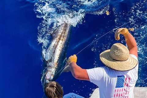 Big Rock Blue Marlin Tournament 2026: Tournament Dates, Fees, Prizes, Rules, and How to Fish and..